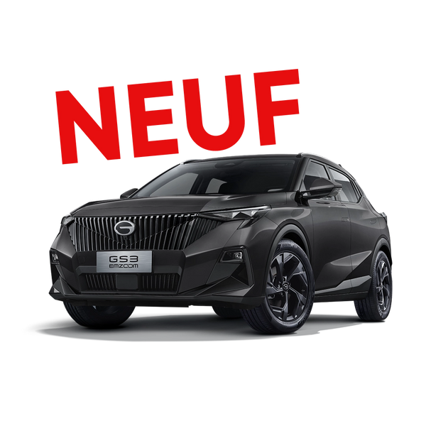 GS3 ENJOY EDITION